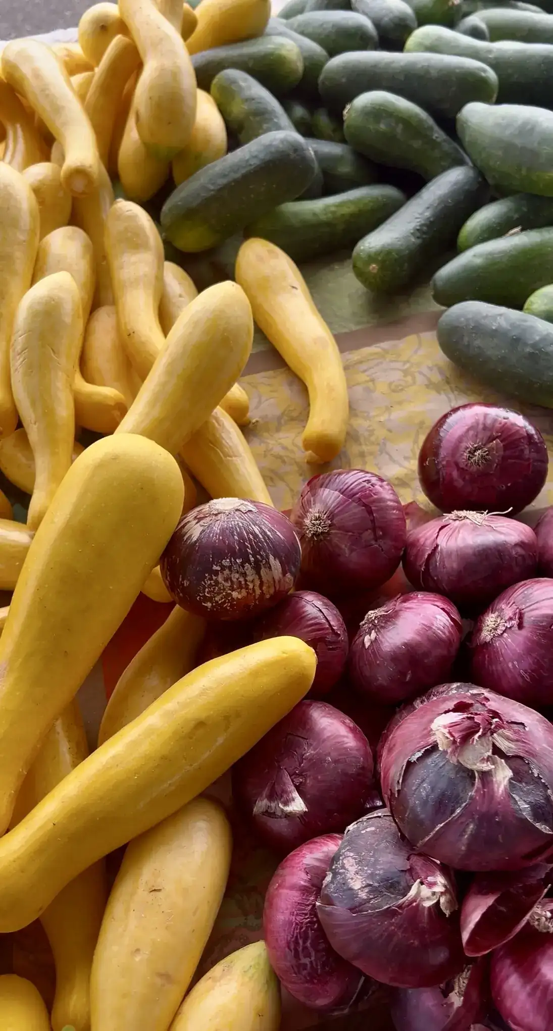 Fresh squash, cucumbers and red onions from a farmers market